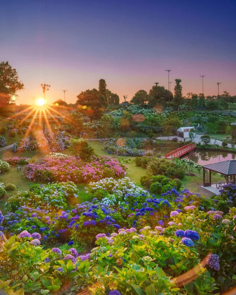 🌸 시마네 꽃의 마을(시마네 하나노사토) 이미지 9